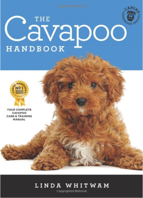 The Cavapoo Handbook
