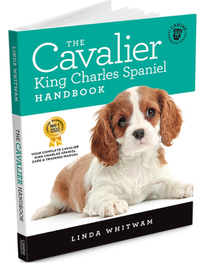 latest-book